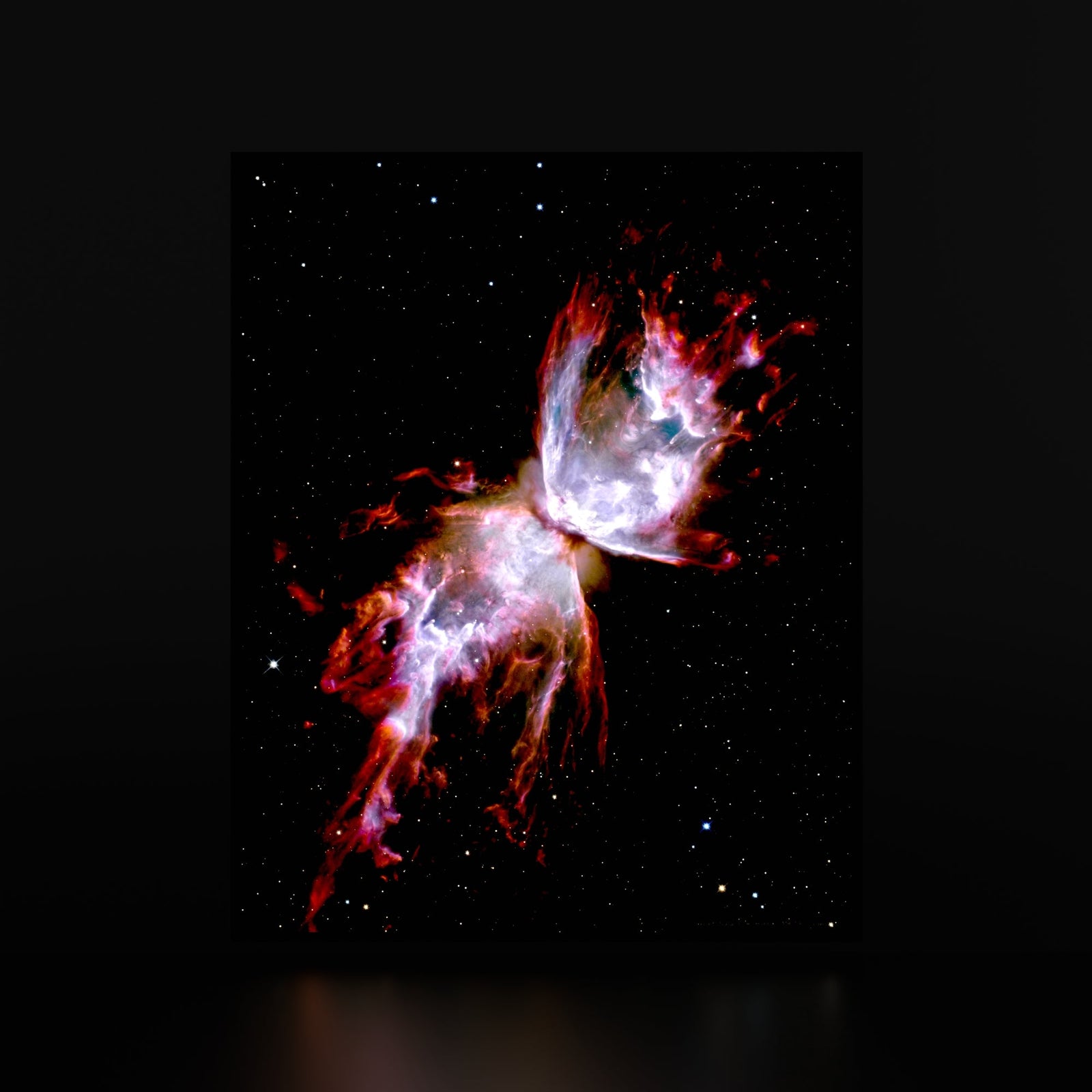Cosmos Collection