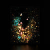 Rose Garden luminous wall art dark frame LuminityCo