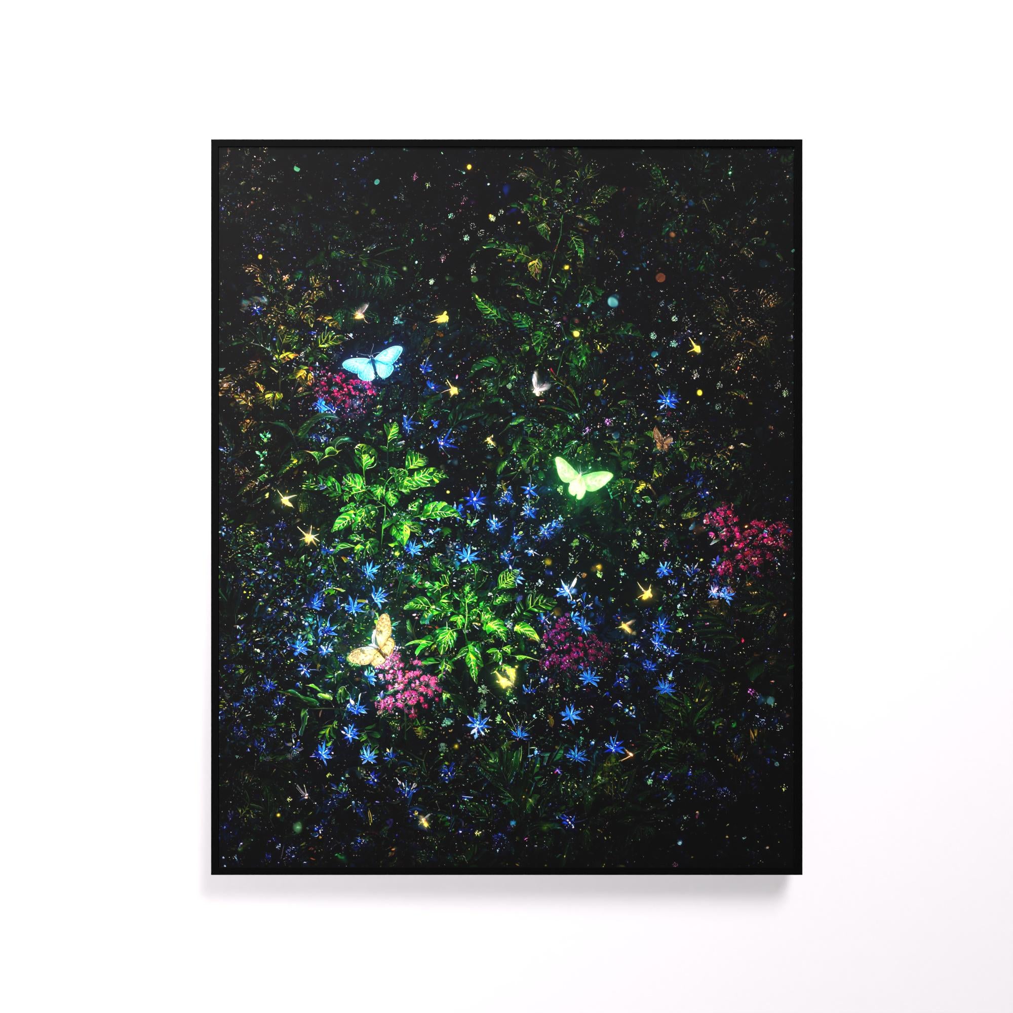 Butterfly Garden luminous wall art white frame LuminityCo